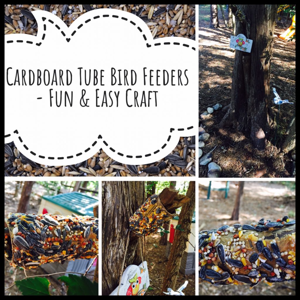 Easy Craft for DIY Bird Feeders