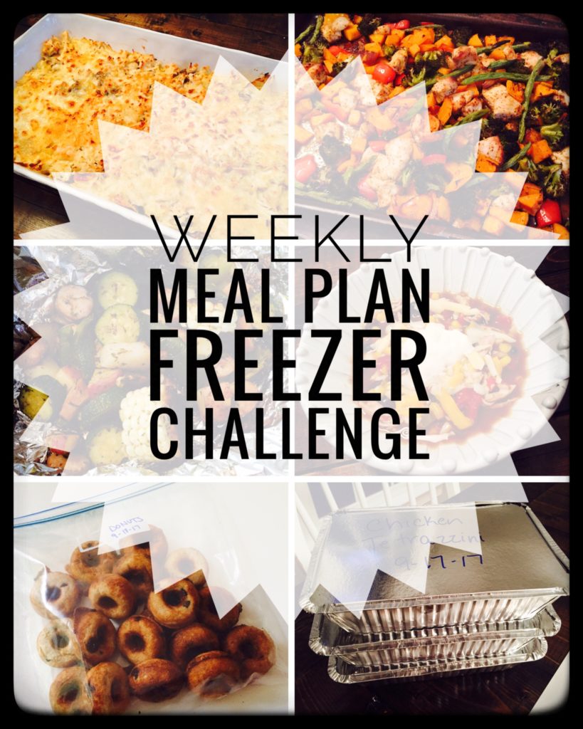 Week 1 of a Freezer Challenge to Meal Plan with the intention of freezing leftovers. Easy way to stock your freezer!