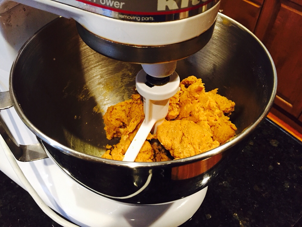 Homemade Puppy Treats Mixer