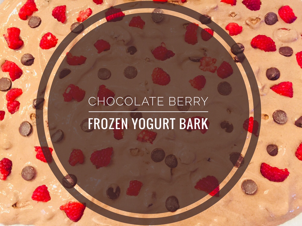 Frozen Yogurt Bark with Chocolate and Berries