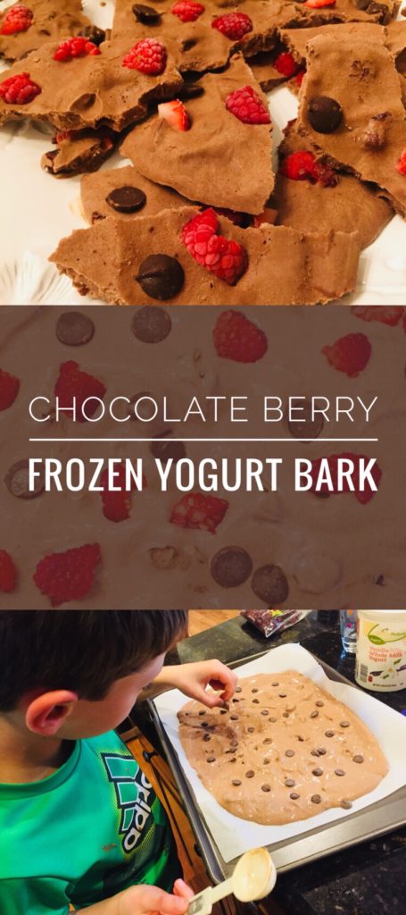 Kids like to help in the kitchen. Kids can help make this yummy and healthy snack. Frozen Yogurt Bark