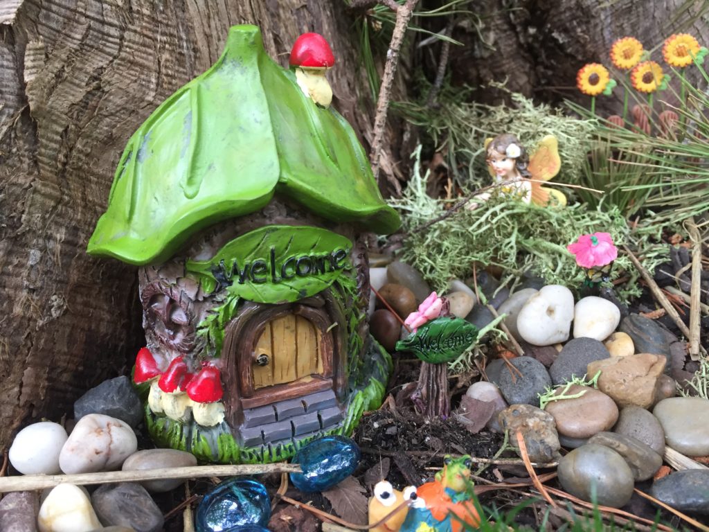 Backyard Dollar Tree Fairy Garden