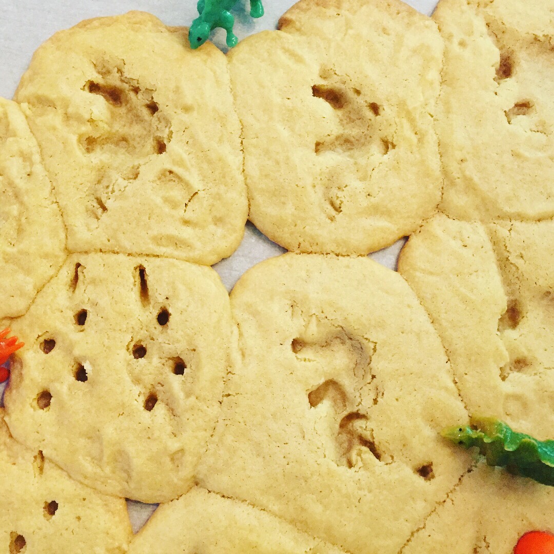 Dinosaur Fossil Cookies