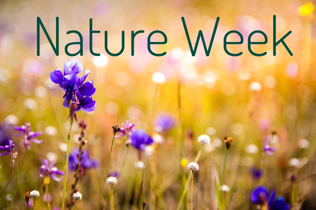 Nature Week