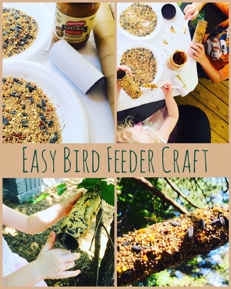 These cardboard tube bird feeders are an easy craft! Perfect nature project for your toddler or preschooler.