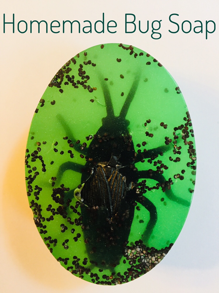 DIY Homemade Bug Soap for Kids is a fun party favor or gift idea! It is perfect for little boys who love bugs or reptiles! What a great way to get them to wash their hands if they know there is a hidden toy inside their soap.