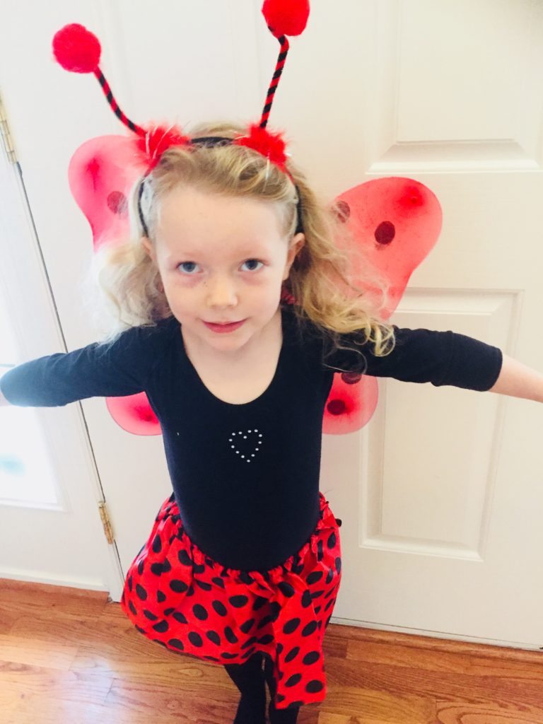 Ladybug Costume from Dollar Tree