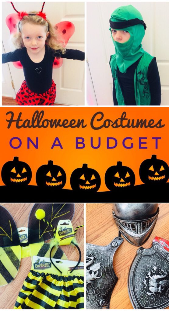 Halloween Costumes on a Budget - Great selection of dress up items at Dollar Tree!