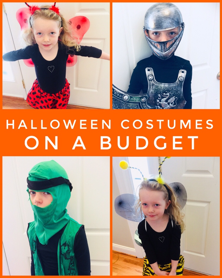 Halloween Costumes on a Budget - Great selection of dress up items at Dollar Tree!