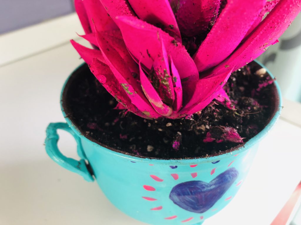 DIY Painted Succulent Planter