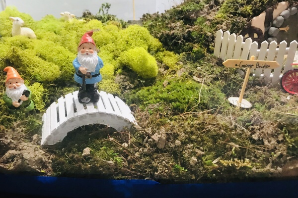 Irish Fairy Garden