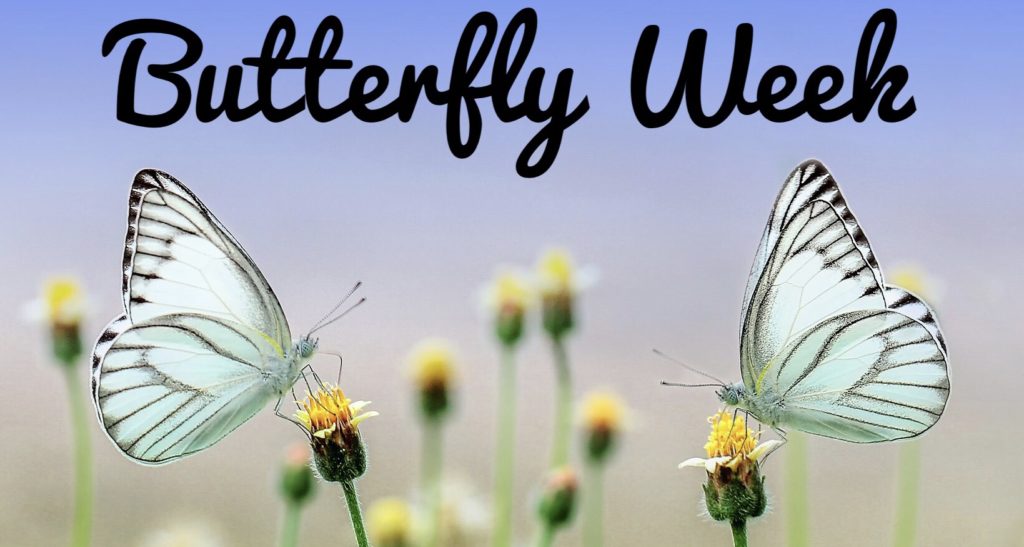 Butterfly Week