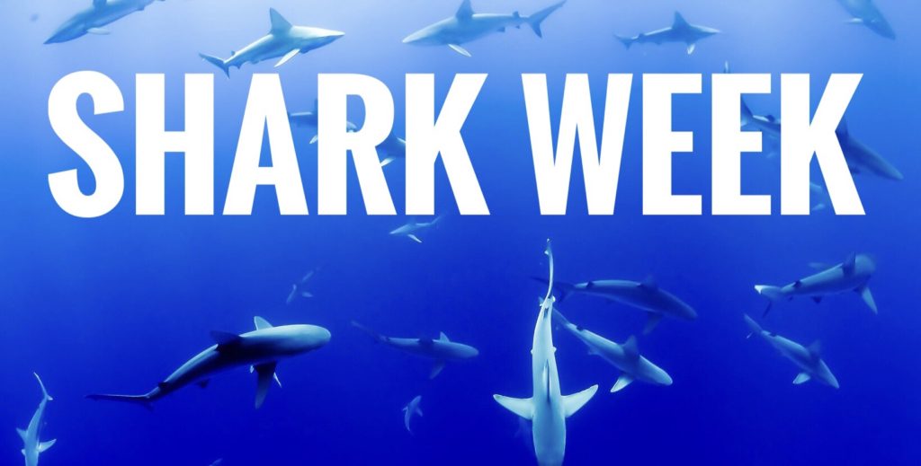 Shark Week for kids