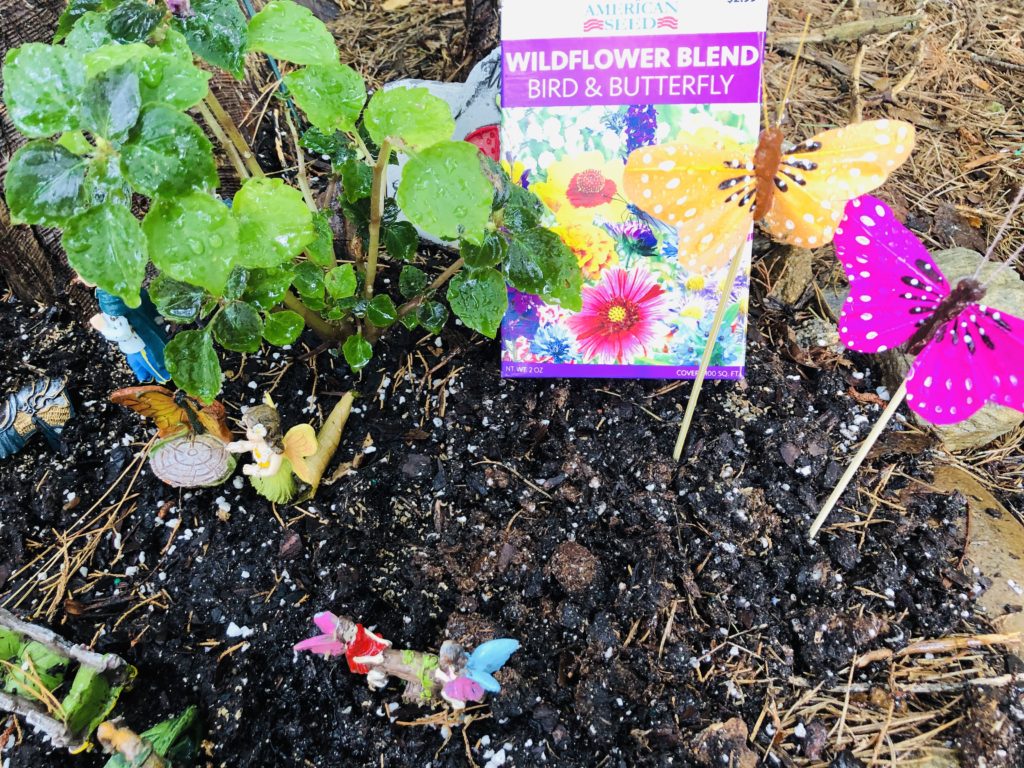 Fairy Garden Wild Flowers