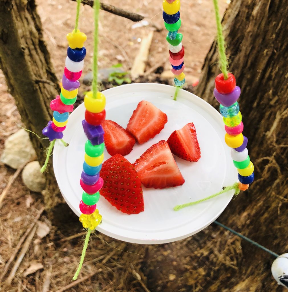 Butterfly Feeder Craft for Kids