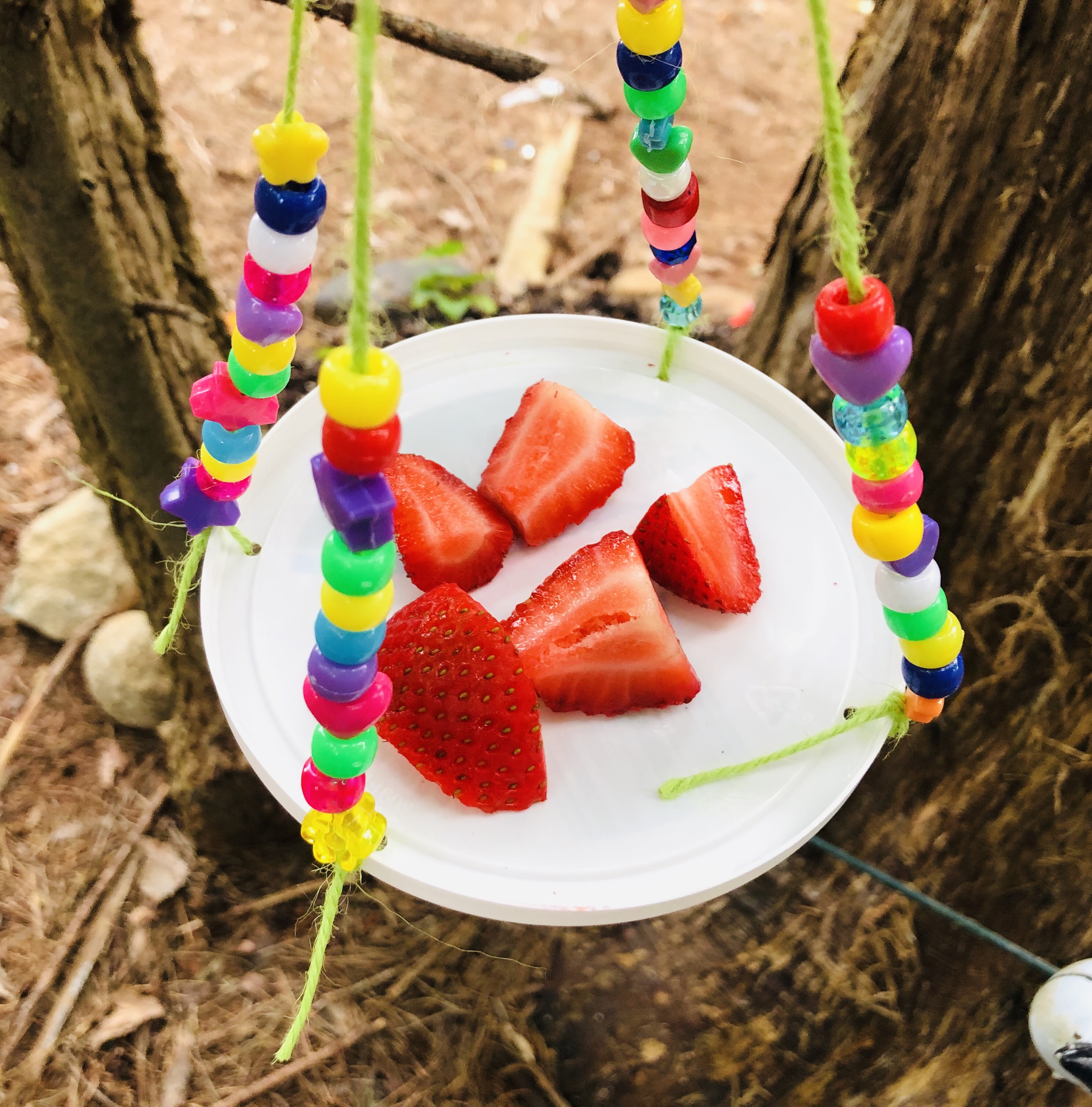 Butterfly Feeder Craft For Kids Glitter On A Dime