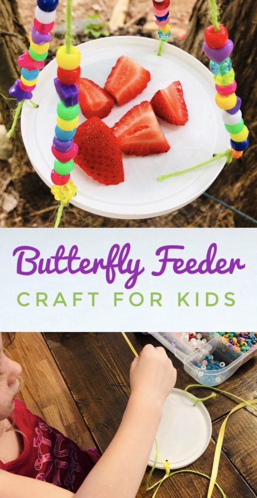 Butterfly Feeder Craft for Kids - easy activity for kids this summer.