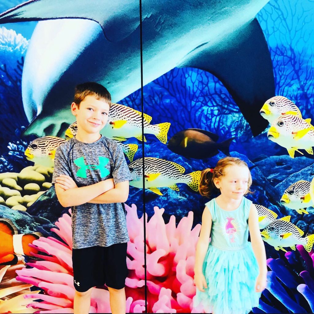 Shark Week Aquarium Visit