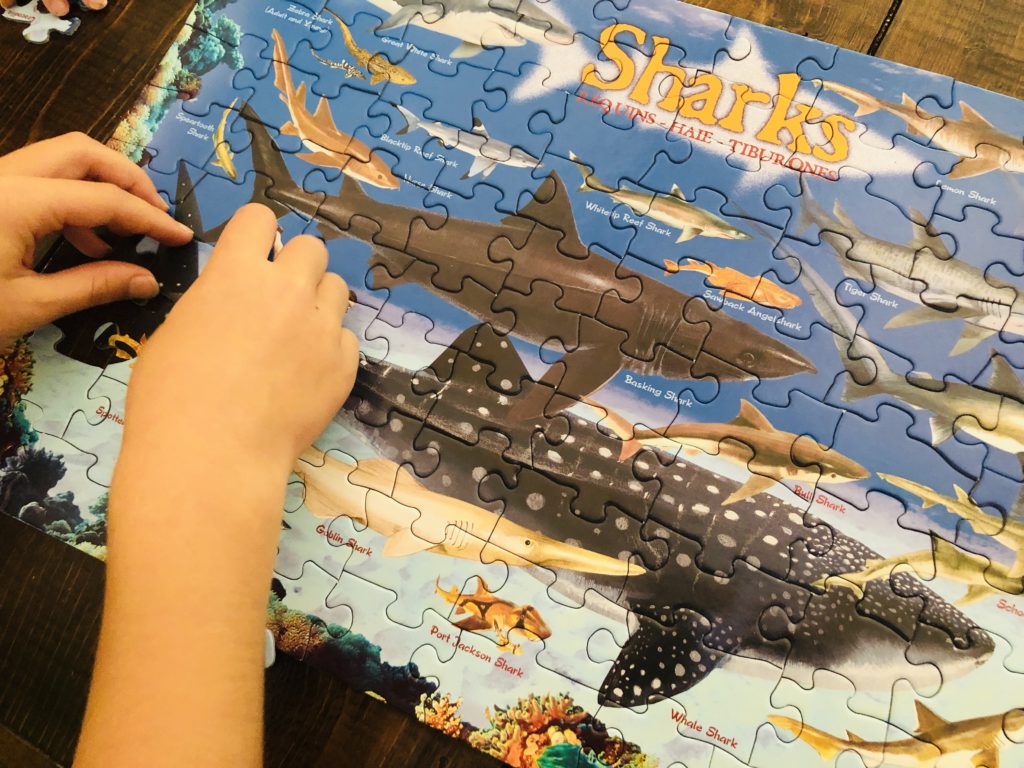 Shark Puzzle