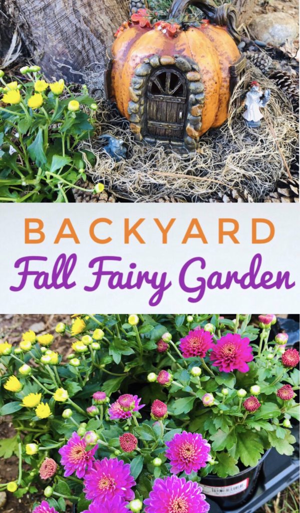 Create a spooky fall fairy garden in your backyard for Halloween using mini mums and items from Dollar Tree. It's a great activity to do with kids.