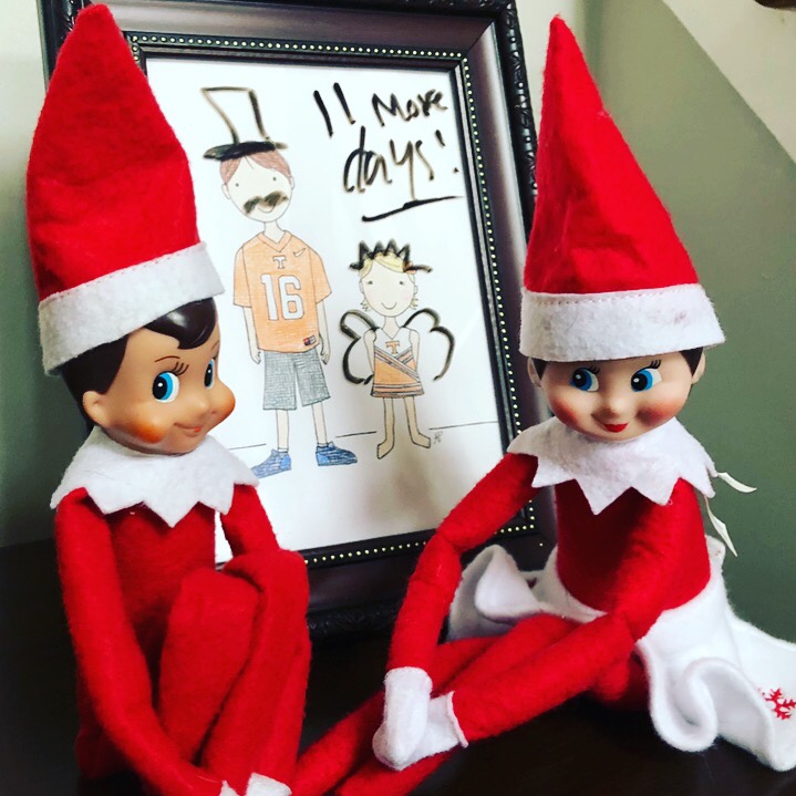 Elf on the Shelf Ideas and Tips