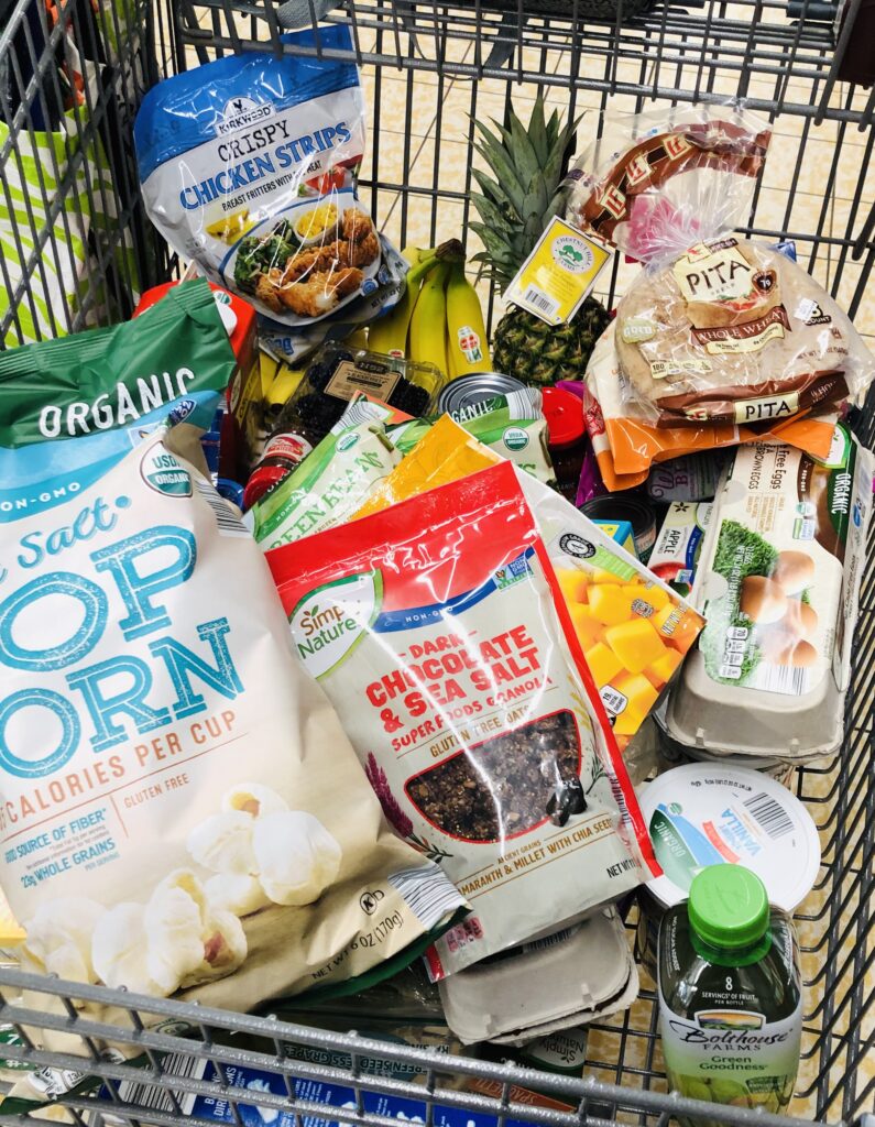 ALDI Grocery Shopping for Budget Meal Plan