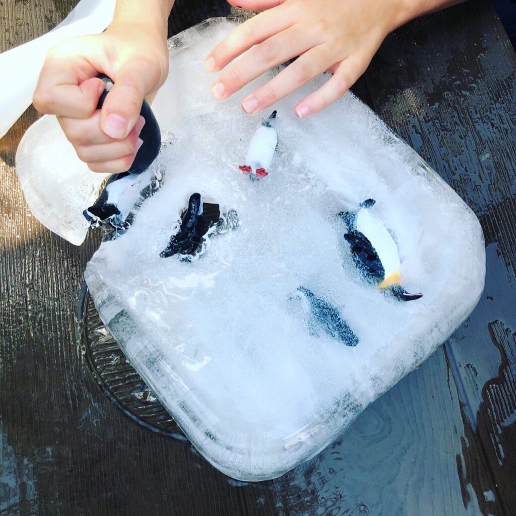 Penguin Ice Block Rescue Activity for Kids