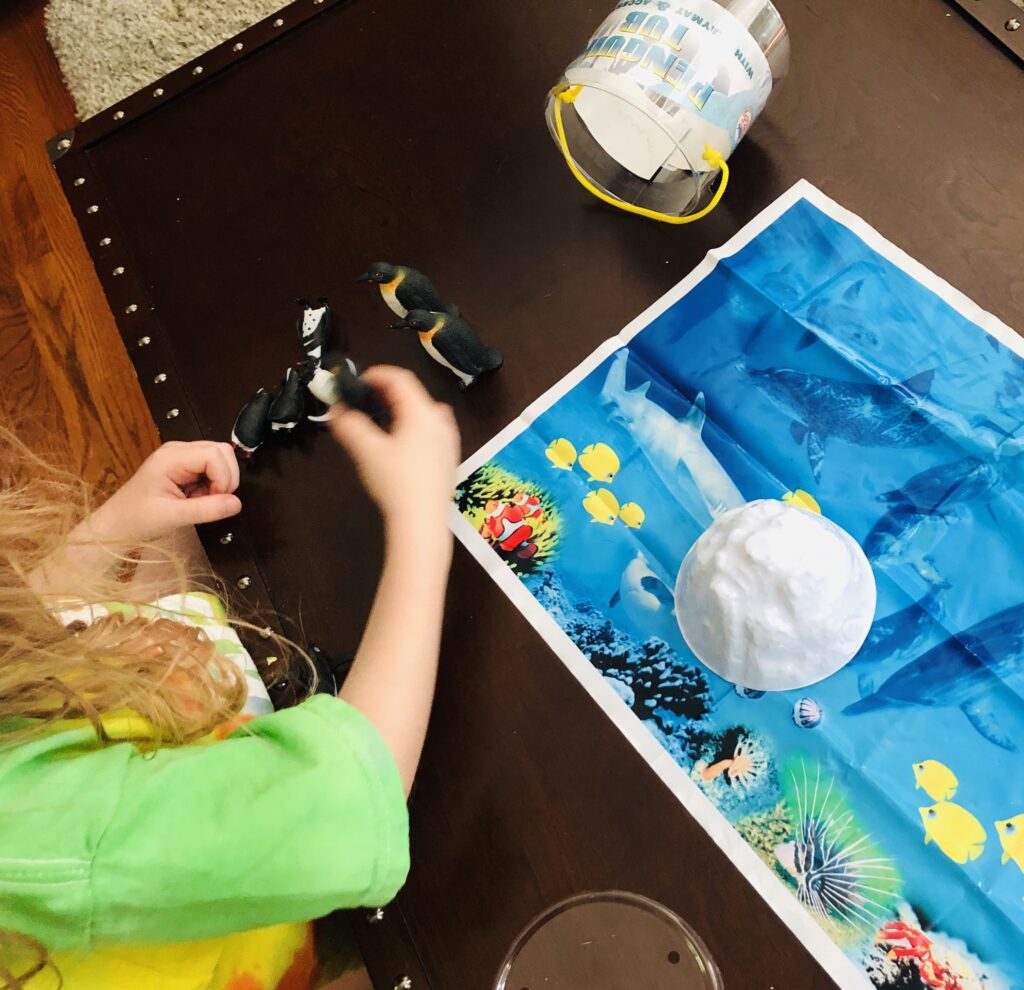 Imaginative Play with Penguins