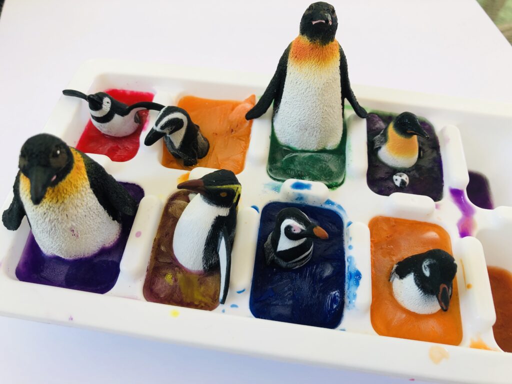 Make Your Own Ice Cube Paint with Penguins