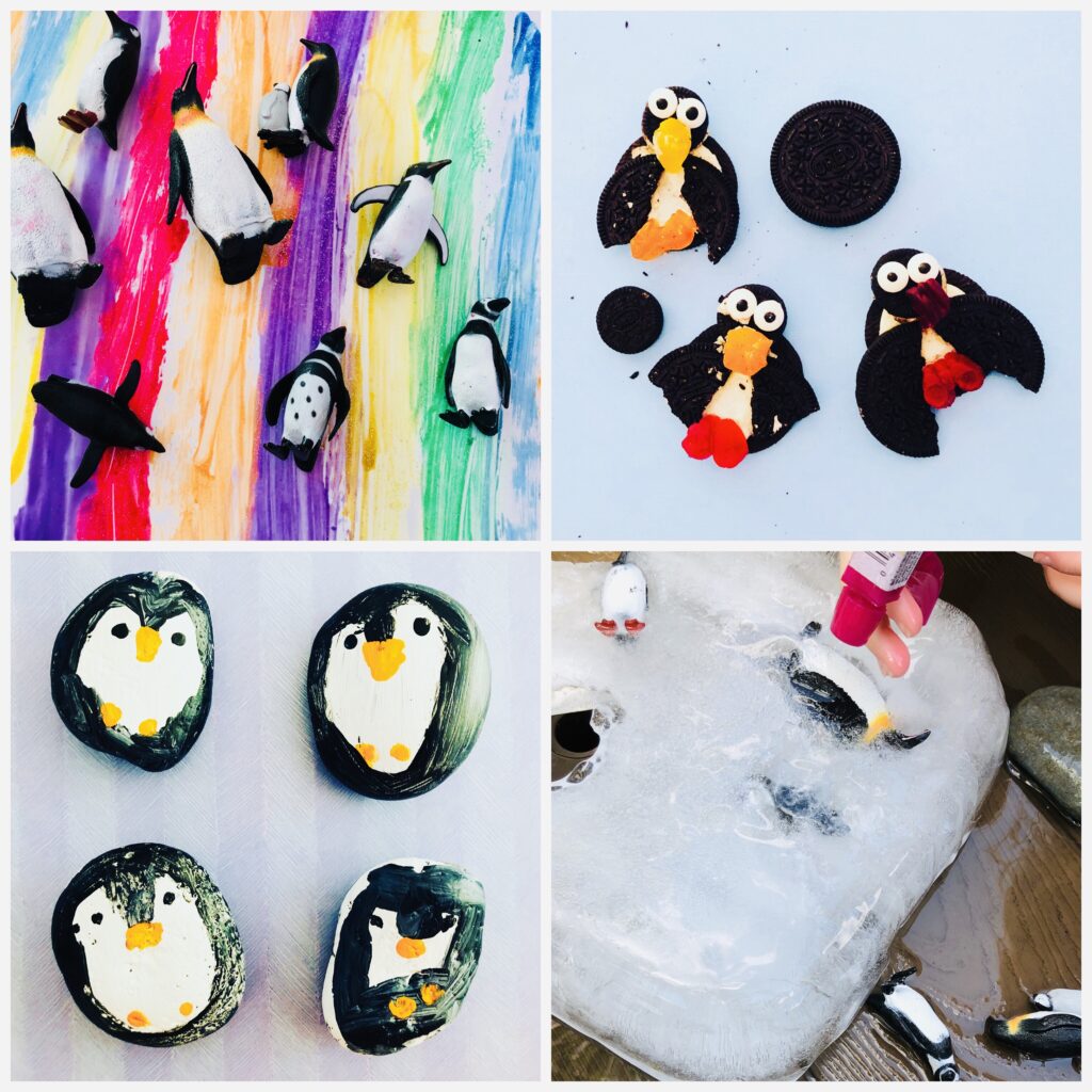 Penguin Week Summer Camp Activities