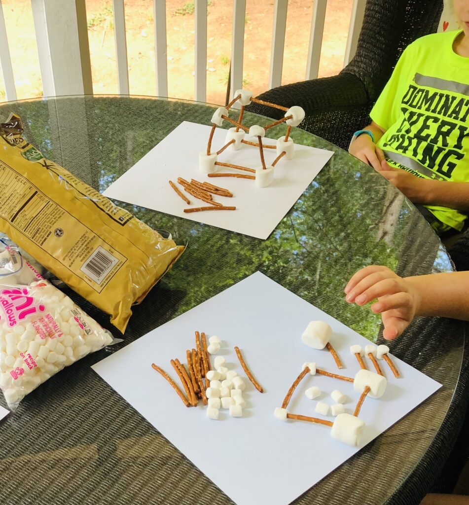 Pretzel and Marshmallow Structure Building