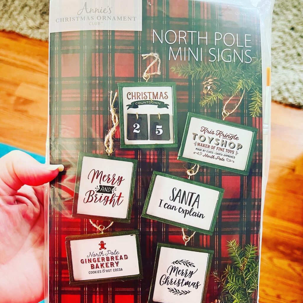 Annie's Kit Club Christmas Ornament Kit Subscription Review