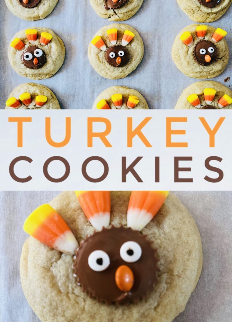 Cute and Easy Turkey Cookies for kids to make