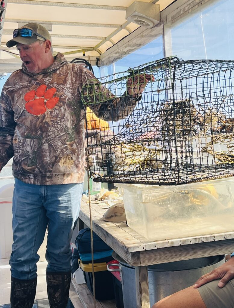 Learning about marine life