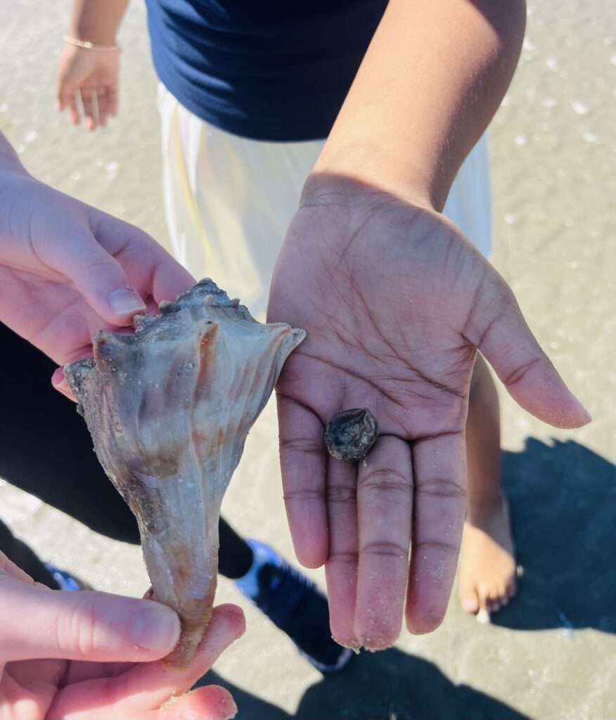 Fifth Grade Field Trip Review